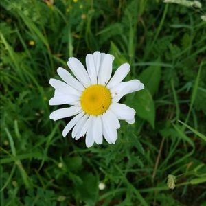 Meet your Posher, Salomé